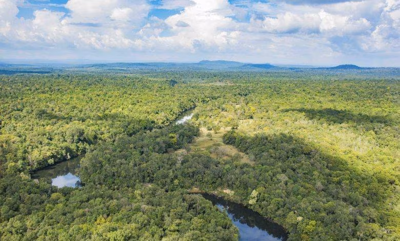 Trekking in Koh Kong & Strand