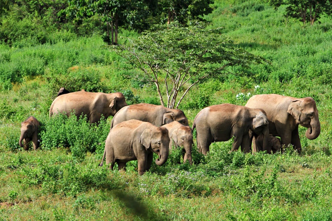 Kui Buri Nationalpark