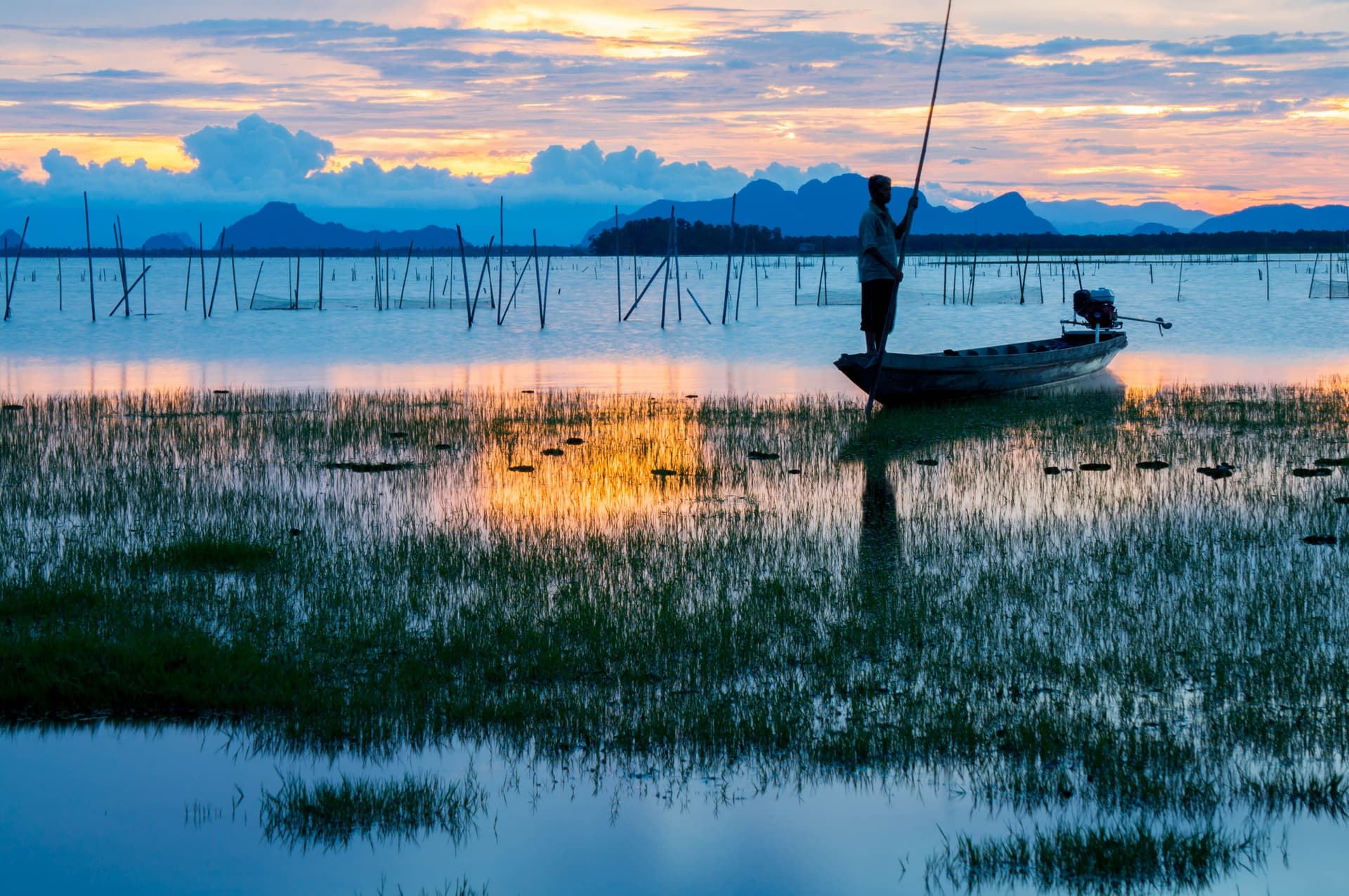 Großer Wasservogelpark von Thale Noi