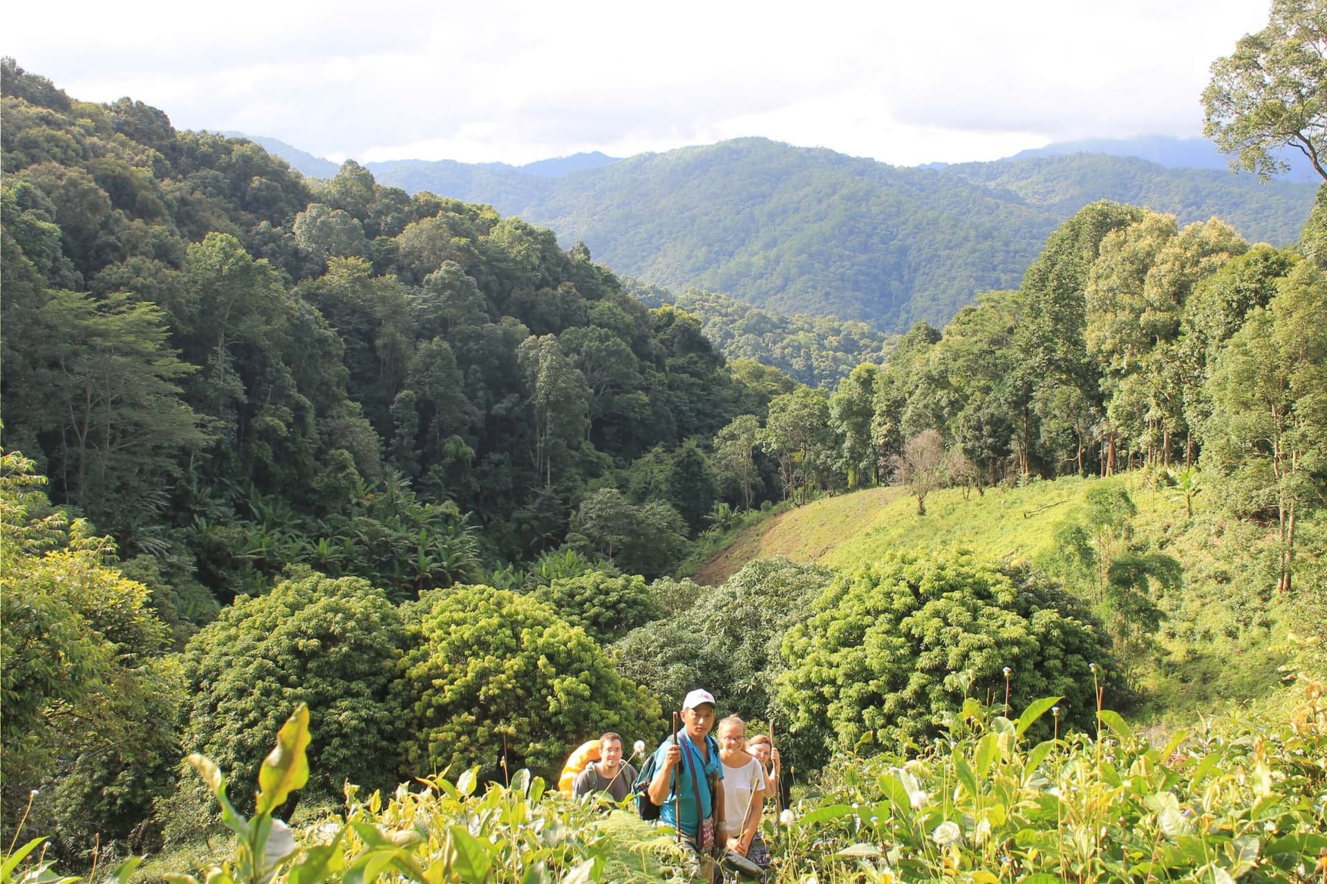 Trekking in den Hügeln des Bergstammes am Doi Inthanon